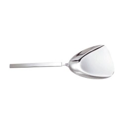 Colher para Servir Arroz - Dry