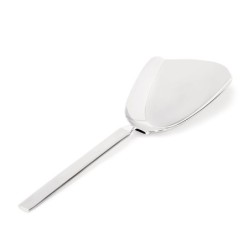 Cuchara para Arroz - Dry