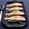 PARRILLA TRADITION GRILL RECTANGULAR 32