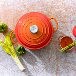 Tacho Cocotte Redonda 20cm Vulcânico - Evolution