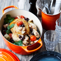 Tacho Cocotte Oval 27cm Vulcânico - Evolution
