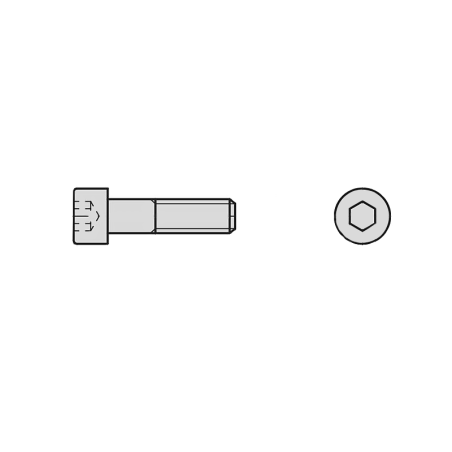 CHEMITOOL Hexagon Socket Head DIN 912 M16X340 8.8 Without Finishing