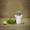Citrus Squeezer15cm