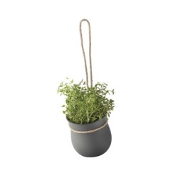 Hanging Flowerpot
