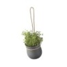 Hanging Flowerpot