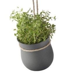 Hanging Flowerpot