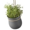 Hanging Flowerpot