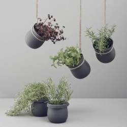 Hanging Flowerpot