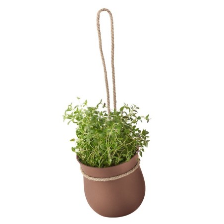 Hanging Flowerpot