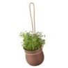 Hanging Flowerpot