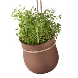 Hanging Flowerpot