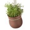 Hanging Flowerpot