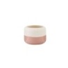 Vaso Rosa