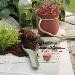 Utensilios Jardinage 3Pcs - Green-It