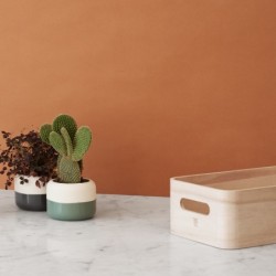 Storage Boxes 5Pcs - Save It