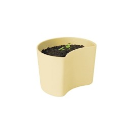 Vaso com Sementes Amarelo - Your Tree
