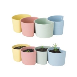 Vaso com Sementes Amarelo - Your Tree