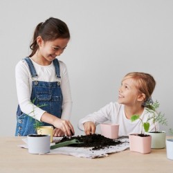 Planting Pot with Seeds Yellow - Your Tree