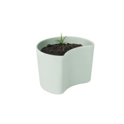 Vaso com Sementes Verde - Your Tree