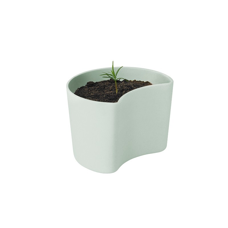 Vaso com Sementes Verde - Your Tree