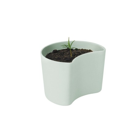 Vaso com Sementes Verde - Your Tree