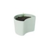 Vaso com Sementes Verde - Your Tree