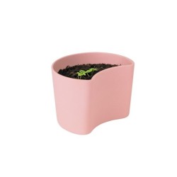 Vaso com Sementes Rosa - Your Tree