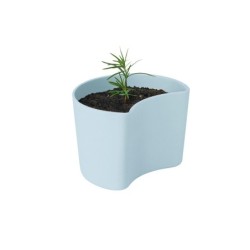 Vaso com Sementes Azul - Your Tree