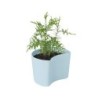 Vaso com Sementes Azul - Your Tree