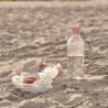 Botella de Agua 750ml Rosa - Drink-It