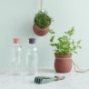 Water Bottle 750ml Misty Rose - Drink-It