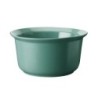 Taça Refratária 24Cm - Cook&Serve Verde