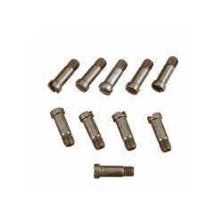 RIDGID 88077 Set of 10 Screw