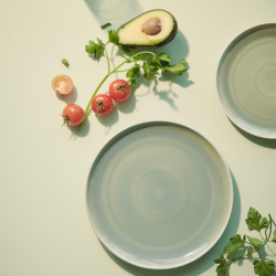 Dinner Plate Ø26,5cm Agave - Saisons