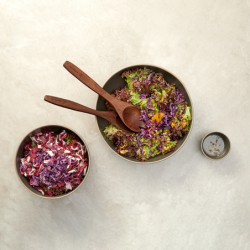 Salad Bowl ᴓ29,5cm Beluga - Saisons
