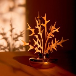 Leaf Fragrance Diffuser Ohhh - The Five Seasons