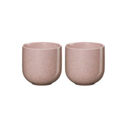 Conjunto de 2 Copos para Chá 200ml - Hanami