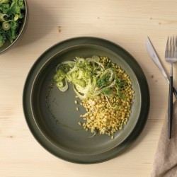 Dinner Plate Ø26,5cm - Coppa Nori