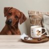 Tazón Perros - Coppa Cats&Dogs