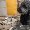 Mug Fluffy Dogs - Coppa Cats&Dogs
