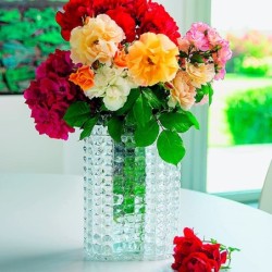 Florero Transparente - Tiffany