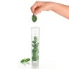 Jug with Infuser Bulb - Tiffany