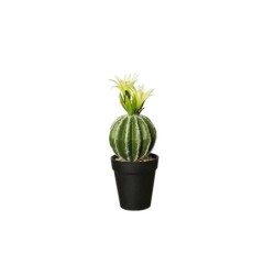 Vaso Com Cacto 'Echino Grusani' 26cm - Deko