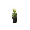 Cactus In Pot 'Echino Grusani' 26cm - Deko