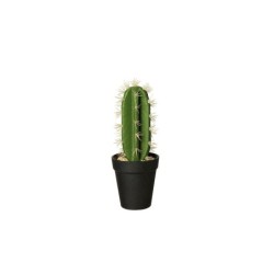 Vaso Com Cacto 'Euphorbia Ingens' 26cm - Deko