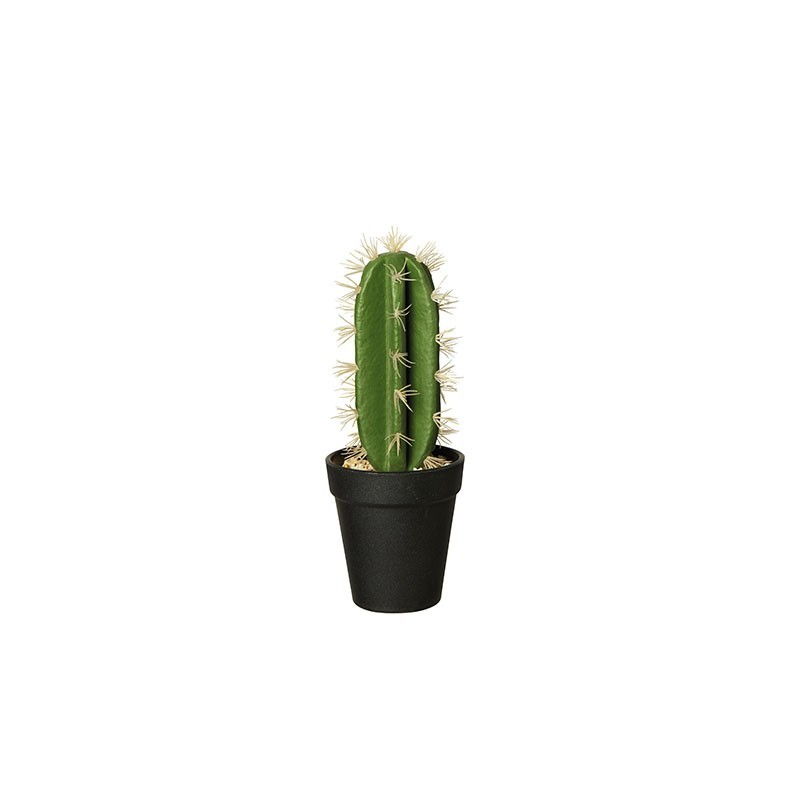Vaso Com Cacto 'Euphorbia Ingens' 26cm - Deko