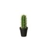 Vaso Com Cacto 'Euphorbia Ingens' 26cm - Deko