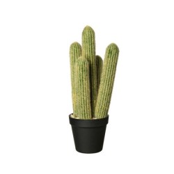 Vaso Com Cacto 'Cleisto Cactus' Ø12,5cm - Deko