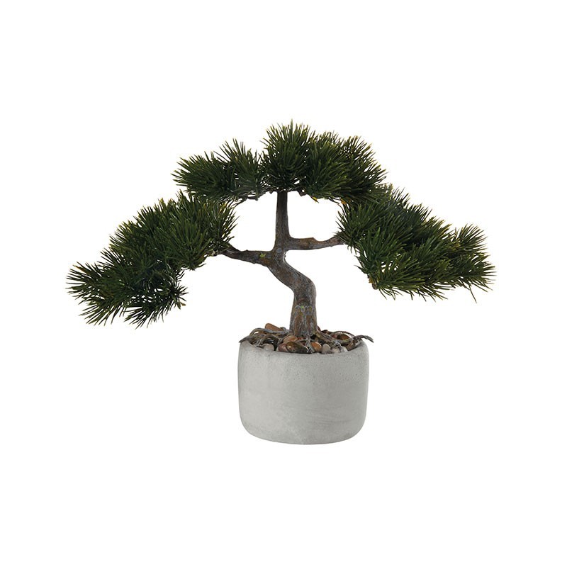 Bonsai Pinus Mugo Artificial – Deko