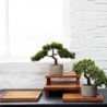 Bonsai Cipreste Artificial – Deko